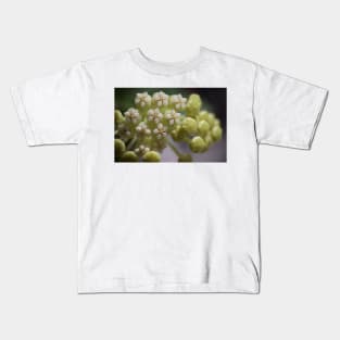 Hoya Pachyclada Flowers and Buds Kids T-Shirt